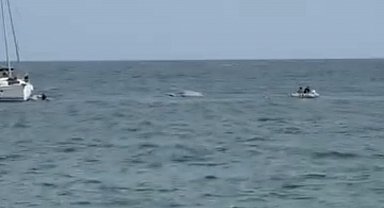 Mersin'de tekneleri alabora olan 6 kişiyi denizde avlanan balıkçılar kurtardı