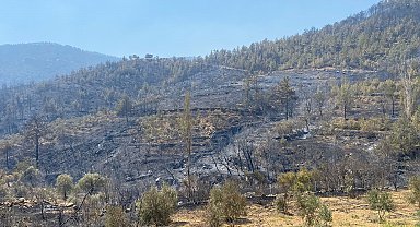 Mersin'in 2 ilçesindeki orman yangınları kontrol altına alındı