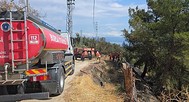 Mudanya'da 1 dönüm orman yandı