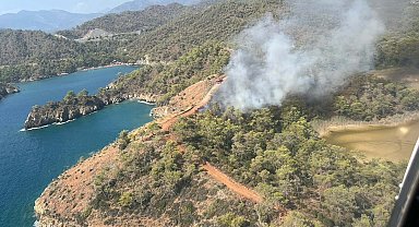 Muğla'da orman yangını
