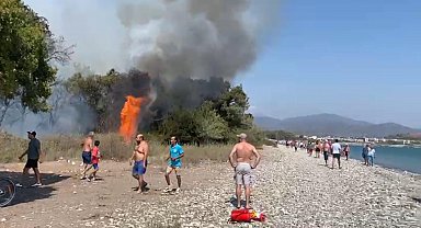 Muğla'da orman yangını