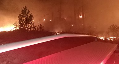 Muğla'da orman yangını