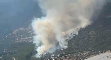 Muğla'da orman yangını