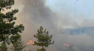 Muğla'da orman yangını