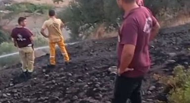 Muğla'da zeytinlikte çıkan yangın 1 saatte söndürüldü