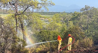 Muğla'daki ormanı yangını 2,5 saate kontrol altına alındı