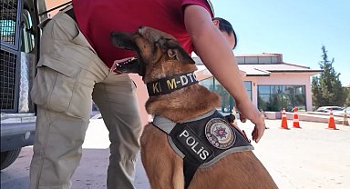 Narkotik köpeği 'Pars' emekliye ayrıldı
