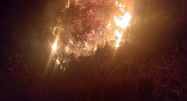 Nazilli'de orman yangını büyümeden kontrol altına alındı