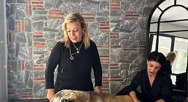 Obez köpek Duman, 6 ayda 20 kilo verdi