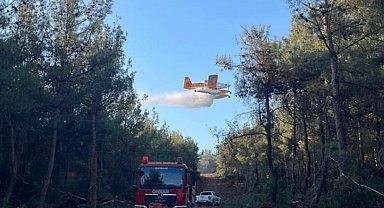 OGM Müdürü Karacabey: Yangınların yüzde 57'si orman dışı alanlarda başladı