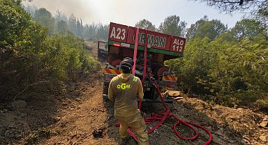 OGM: Yangınların çoğu ihmal ve dikkatsizlikten kaynaklandı