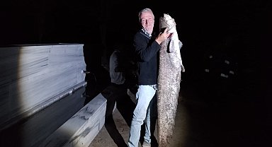 Oltasına 40 kiloluk yayın balığı takıldı