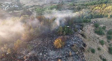 Ordu'da orman yangın 4 saatte söndürüldü