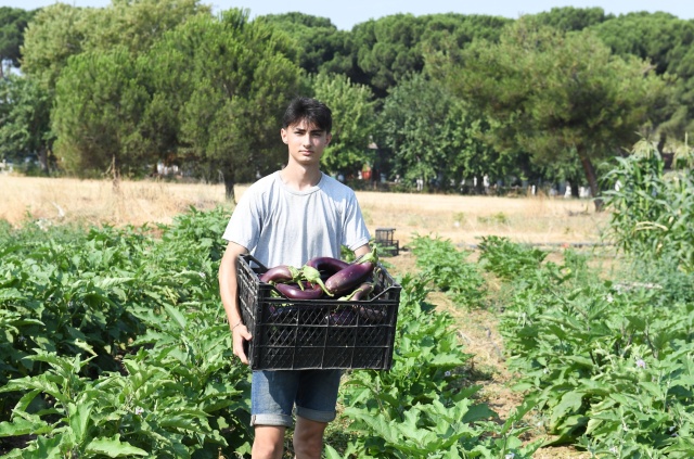 Organik Sebzeler Kent Lokantası’nda Yemeğe Dönüştü