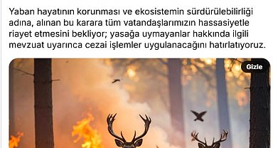 Orman yangınlarından etkilenen alanlarda av yasağı