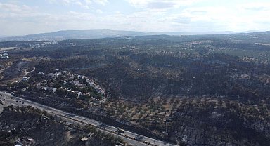 Ormanların yanması nedeniyle korunmasız hale gelen yaban hayvanları için av yasağı isteği