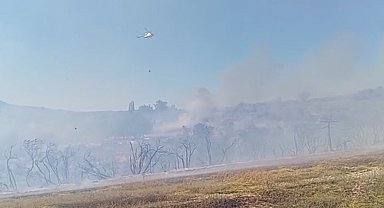 Osmaniye'de anız yangınında alevler makilik alana sıçradı