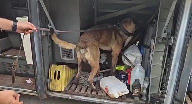 Otobüste yolcunun valizinde 1 kilo 182 gram skunk ele geçirildi