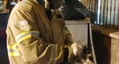 Otomobilin motoruna sıkışan yavru kediyi itfaiye ekipleri kurtardı