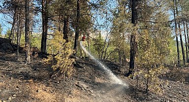 Otoyoldaki otomobilde çıkan yangın, ormana sıçradı