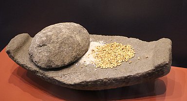 Oymaağaç Höyüğü kazılarında 3 bin yıllık fındık kabuğu bulundu