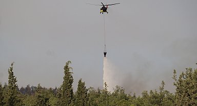Pamukkale'de çıkan orman yangını söndürüldü; 3 gözaltı