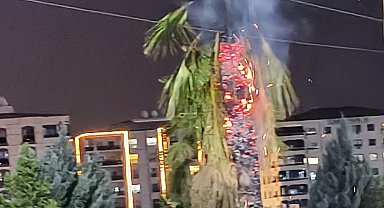 Parktaki palmiye ağacı ateşe verildi