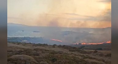 Paşalimanı Adası'nda makilik yangını; 20 dönümlük alan yandı