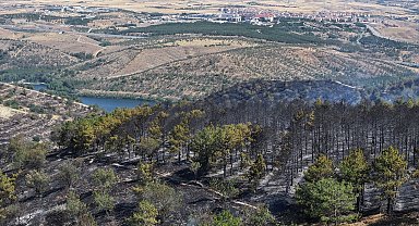 Prof. Dr. Kavgacı: Yangın söndükten sonra kök yanması devam edebilir