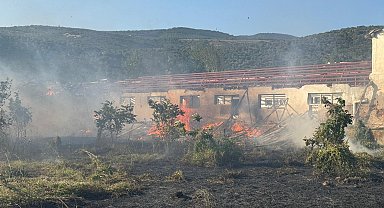 Rüzgarın etkisiyle kopan elektrik telleri yangına neden oldu
