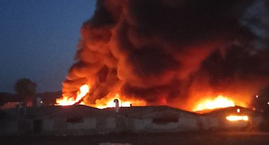 Sakarya'da boya fabrikasında yangın