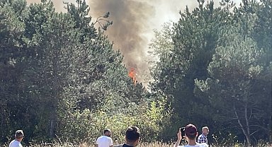 Sakarya'da orman yangını