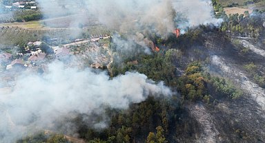 Sakarya'da orman yangını