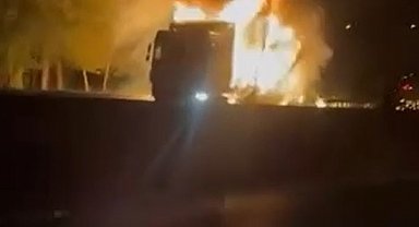 Samsun'da seyir halindeki TIR'da çıkan yangında alevler ağaçlara sıçradı