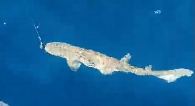 Saros Körfezi'ne atılan oltaya 25 kiloluk köpek balığı takıldı