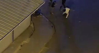 Siirt'te iki grup arasında kavga kamerada