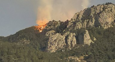 Sinop'taki orman yangını kontrol altına alındı