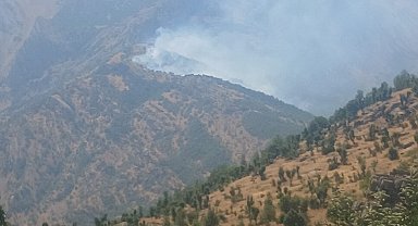 Şırnak'ta ormanda örtü yangını