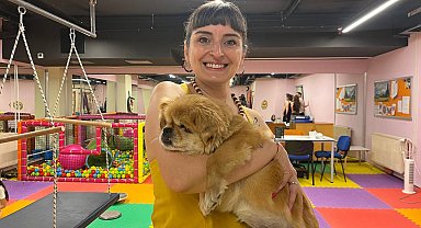 Sokağa atılan görme engelli köpek 'Yoshi'ye yeni yuva