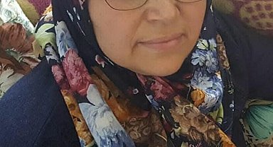 Sokak köpeklerinden kaçmak isterken otomobilin çarptığı kadın öldü