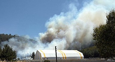 Soma'da orman yangını