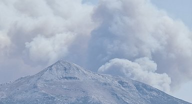 Suriye'de sınıra yakın bölgede orman yangını