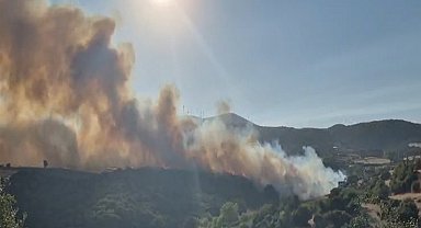 Susurluk'taki orman yangını 12 saat sonra kontrol altına alındı