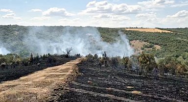 Tekirdağ'da çıkan orman yangını, 1 saatte kontrol altına alındı