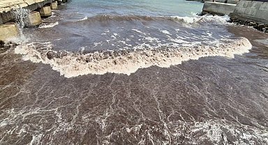 Tekirdağ'da deniz, kızıl yosunlar nedeniyle kırmızı renge büründü