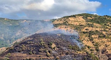 Tekirdağ'da makilik yangını, ormana sıçramadan söndürüldü