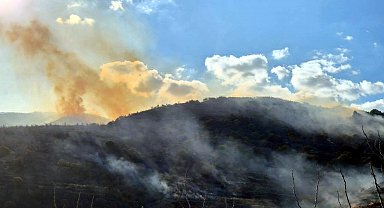 Tekirdağ'da makilik yangını, ormana sıçramadan söndürüldü