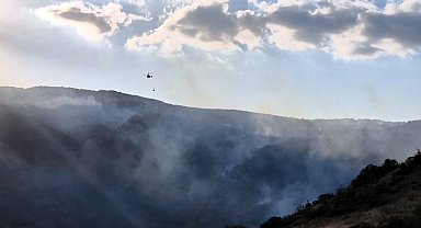 Tekirdağ'da makilik yangını, ormana sıçramadan söndürüldü