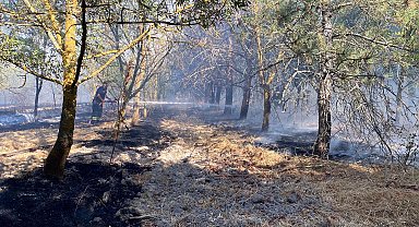 Tekirdağ'daki anız yangını ormana sıçradı; kontrol altında