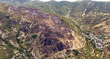 Tekirdağ'daki yangınla ilgili gözaltına alınan şüpheli serbest